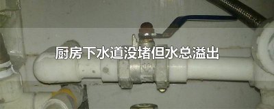 ​厨房下水道没堵但水总溢出怎样防止 厨房下水道没堵但水总溢出是开发商的问题