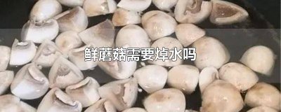 ​鲜蘑菇需要焯水吗如何去飘冷 鲜蘑菇需要焯水吗怎么做