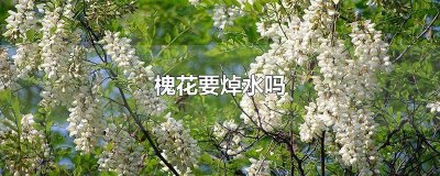 ​槐花用焯水吗怎么焯 鲜槐花用焯水吗