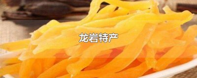 ​龙岩特产老鼠干 龙岩特产水果