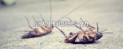 ​家里厨房有蟑螂怎么回事 厨房间有蟑螂怎么处理