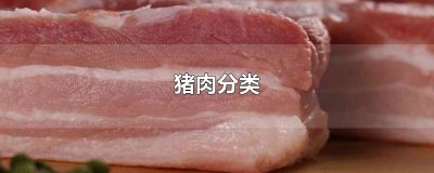 ​猪肉的家常做法视频 猪肉视频教程