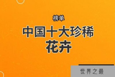 ​中国十大珍稀花卉 丹霞梧桐上榜，第一被誉为“茶族皇后”