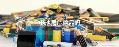 ​动力电池是危险品吗为什么 燃料电池是危险品吗