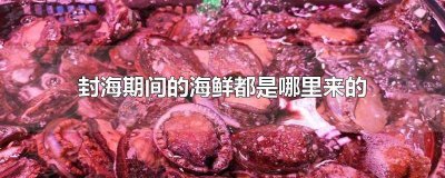 ​封海了吃什么海鲜 封海期间码头有海鲜吗