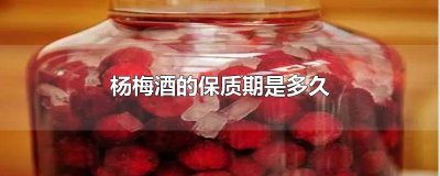 ​杨梅泡白酒保质期多久 泡制的杨梅酒有没有保质期