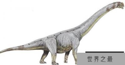 ​柏利连尼龙（Pellegrinisaurus）：体长25米的阿根廷巨型恐龙