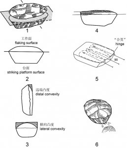 ​观音洞遗址不存在勒瓦娄哇技术——高星团队发表对“中国最早的勒瓦娄哇技术”