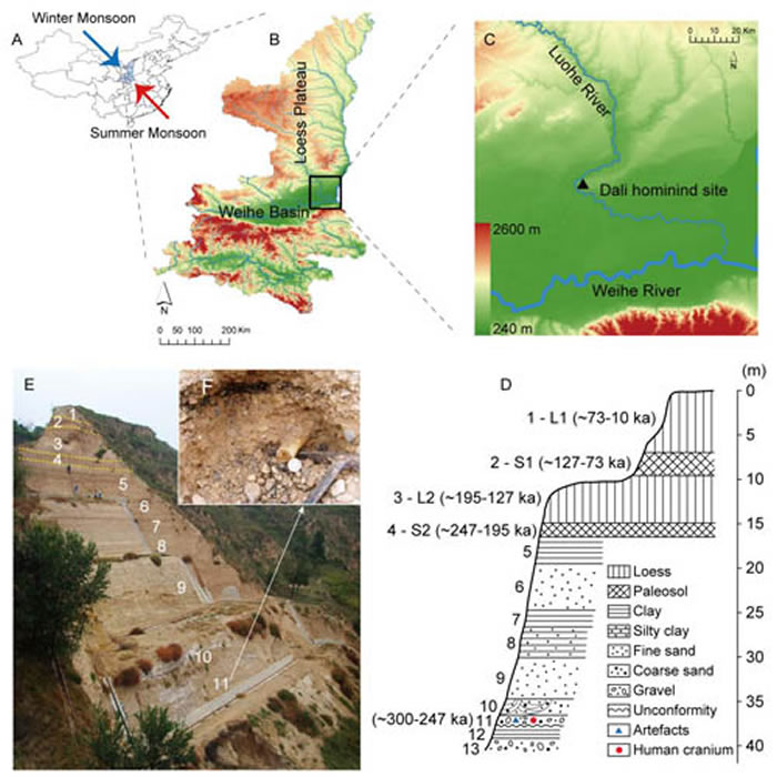 大荔人遗址地理位置（A、B）、地貌（C）、地层和年代（D、E）信息 （李浩供图）