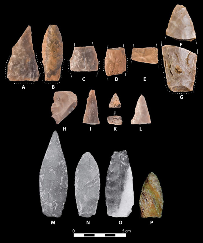 美国德克萨斯州发现的新款尖状投掷物或提示存在两个不同的进入北美的古人类群