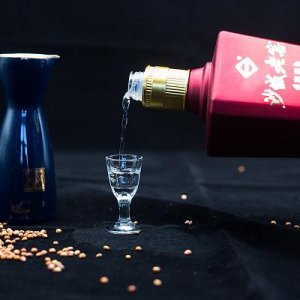 ​洋河敦煌光瓶(洋河敦煌42度古酿酒多少钱一瓶)