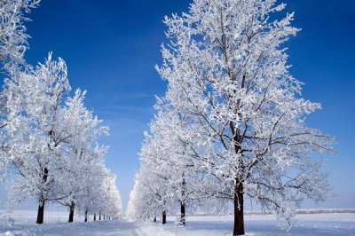 ​小雪节气是哪一天 小雪节气吃什么养生