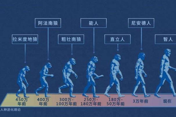 网络配图