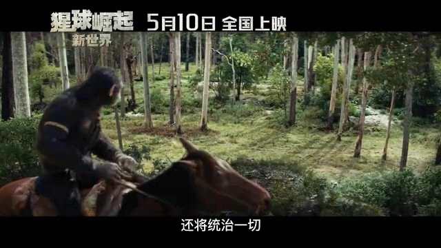 影视《猩球崛起：新世界》定档海报及预告 5月10日上映  5