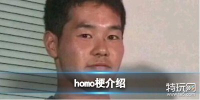 ​homo是什么意思 homo梗介绍