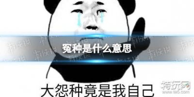 ​冤种是什么意思 冤种是什么梗