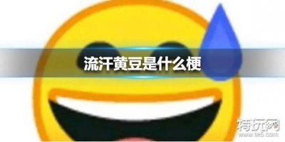 ​流汗黄豆是什么梗 流汗黄豆介绍