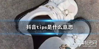 ​tips是什么意思 抖音tips网络用语介绍