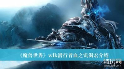 ​《魔兽世界》wlk潜行者血之饥渴宏介绍