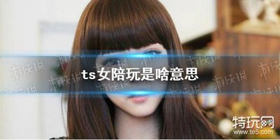 ​ts女陪玩是啥意思 ts陪玩在哪点