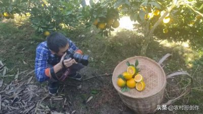 ​稻花香苦荞15年陈酿价格