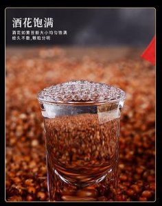 ​茅台是新酒(茅台新酒发布)