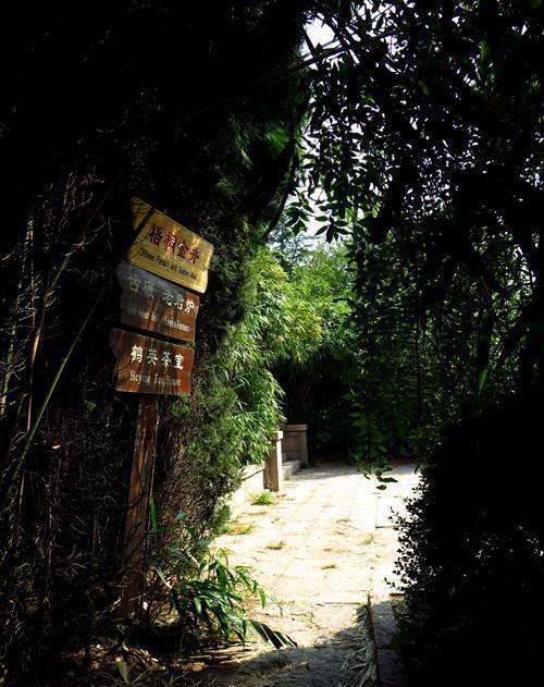 钟灵毓秀，海边仙山------即墨鹤山