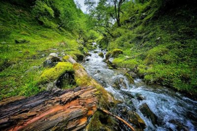 ​坐拥10亩高山湖泊，堪称四川“小九寨”，是夏天玩水避暑的宝藏地