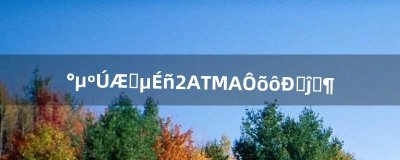 ​暗黑破坏神2ATMA怎么修改等级（暗黑破坏神2六十级后快速升级)