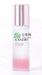 ​KANEBO嘉娜宝SKIN GLOSS OIL精华水价格_日本价格