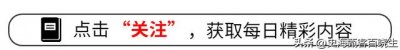 ​清教主义在北美是怎样传播的？又发生了什么改变？