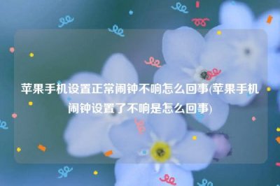 ​苹果手机设置正常闹钟不响怎么回事(苹果手机闹钟设置了不响是怎么回事)