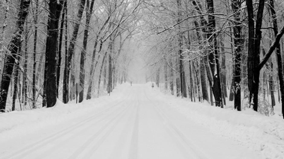 真实美景：山间道路的唯美伤感雪景图集