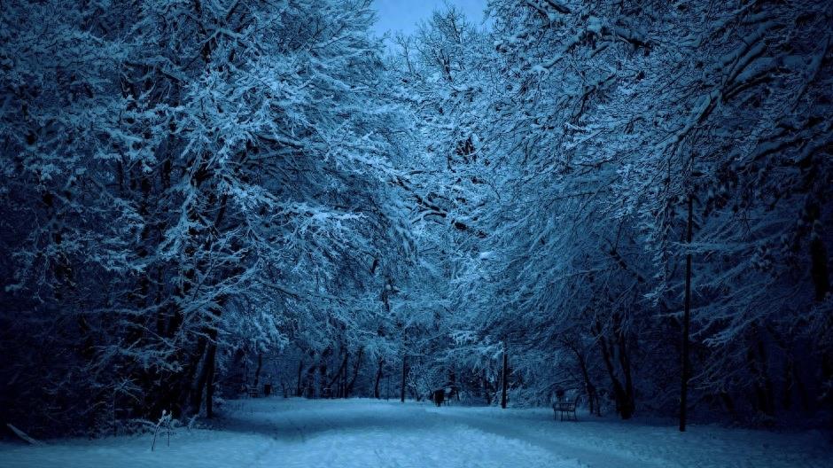 真实美景：山间道路的唯美伤感雪景图集