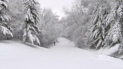 ​真实美景：山间道路的唯美伤感雪景图集