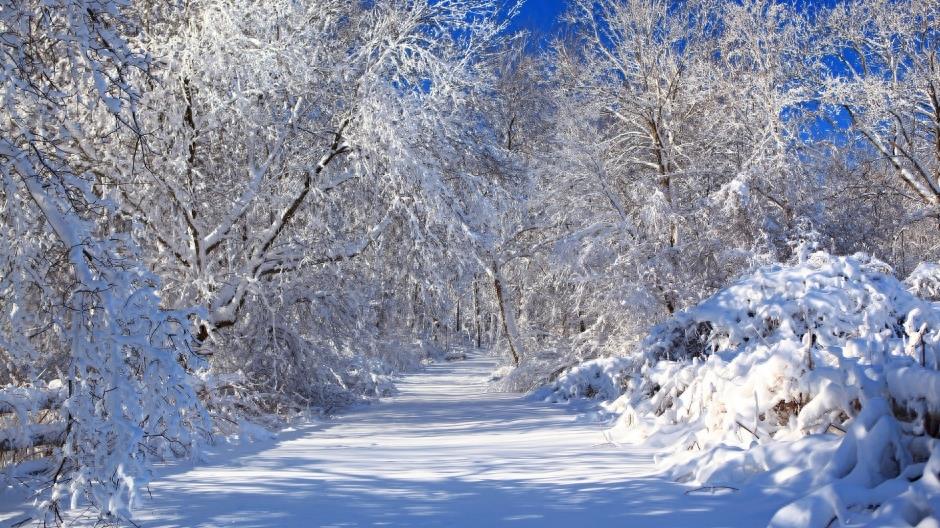 真实美景：山间道路的唯美伤感雪景图集