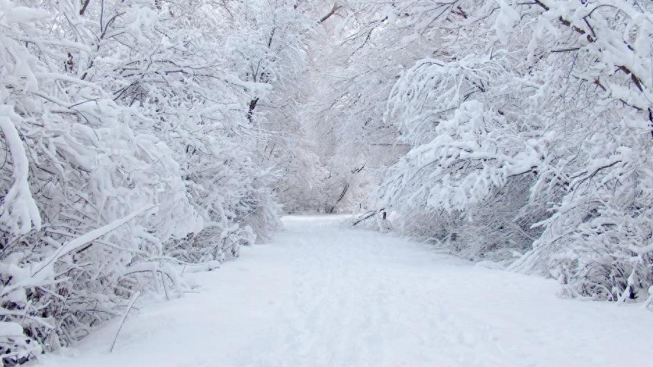 真实美景：山间道路的唯美伤感雪景图集