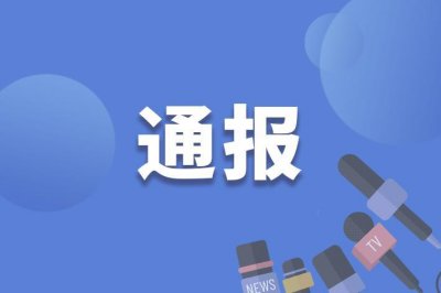 ​四川广汉市农村工作领导小组副组长、三级调研员龙广接受审查调查