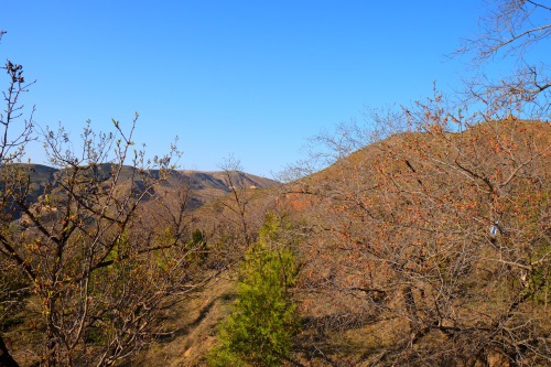 甘肃会宁最美桃花山，这里浓缩着一条红军长征路