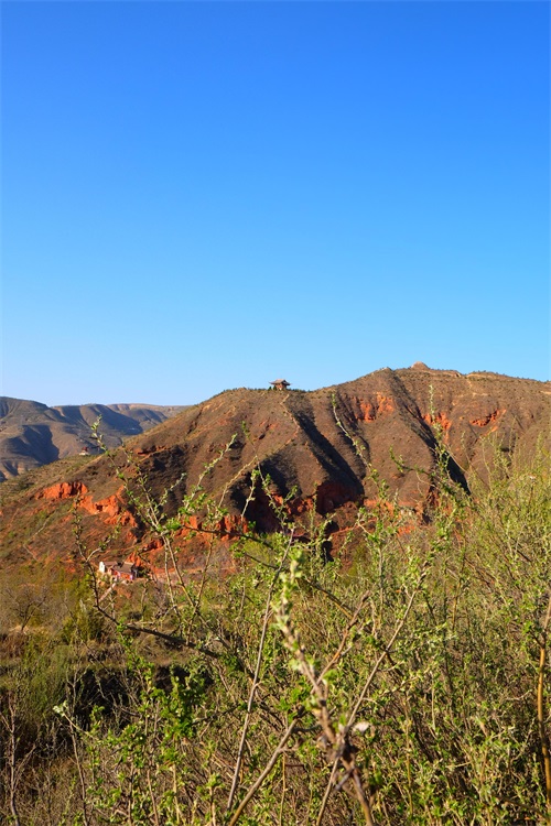 甘肃会宁最美桃花山，这里浓缩着一条红军长征路