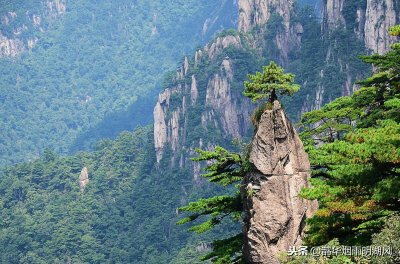 ​黄山有许多奇石，这四处最令人称绝